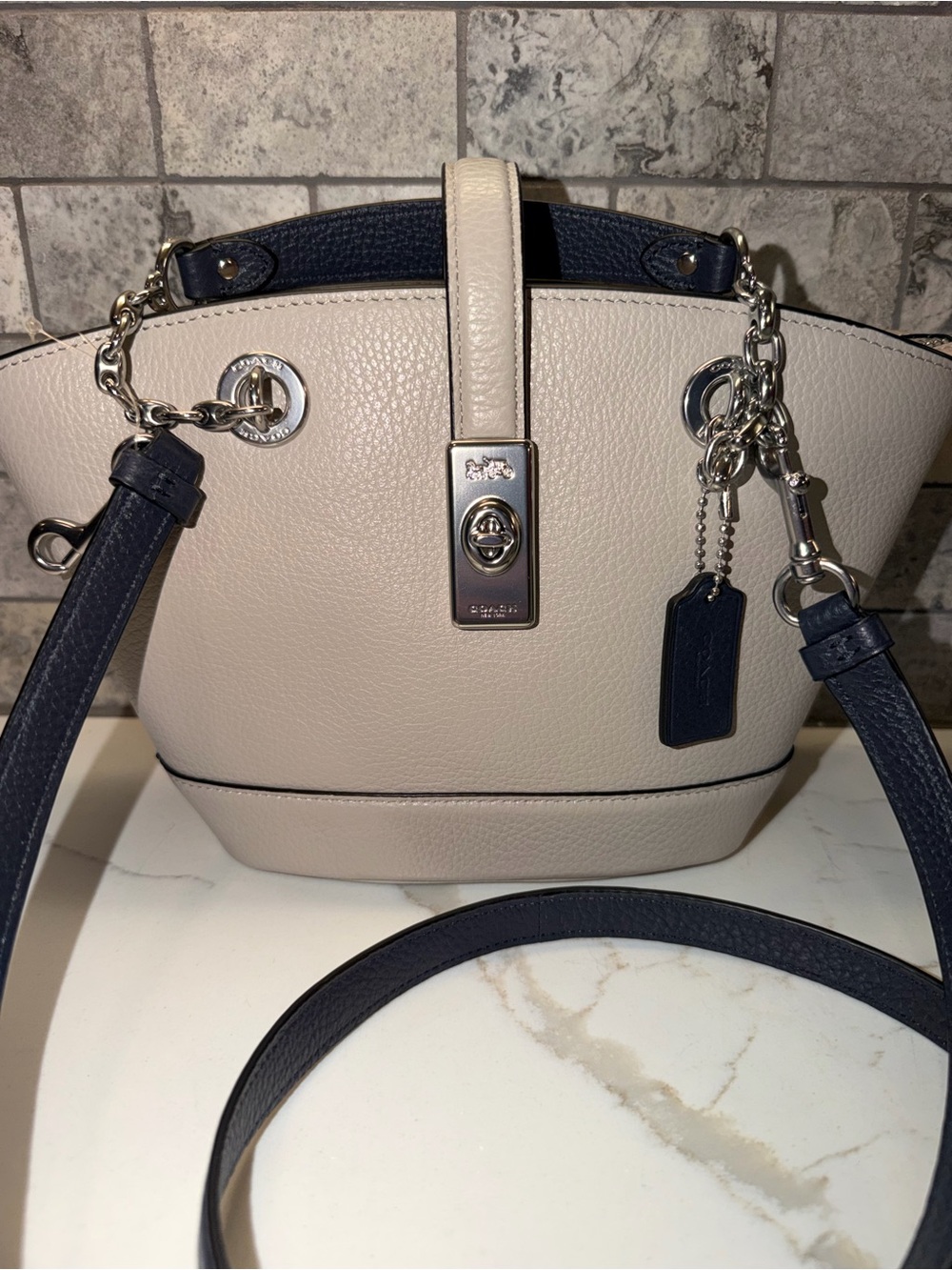 Coach Lane Bucket Bag in Chalk Gray with Navy